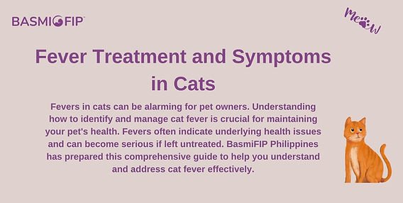 How To Know If A Cat Has A Fever