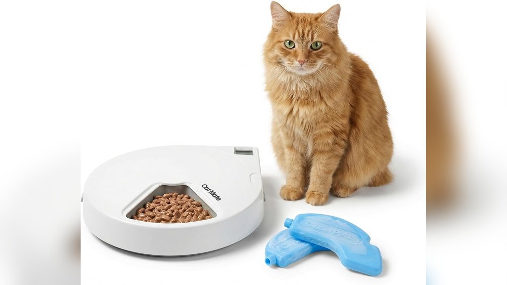 Cat Mate C500 Review: Reliable 5-Meal Feeder with Ice Packs