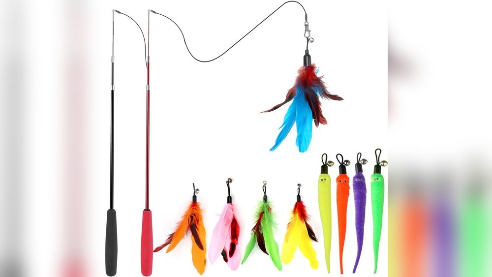 Best Feather Cat Toy for Large Cats