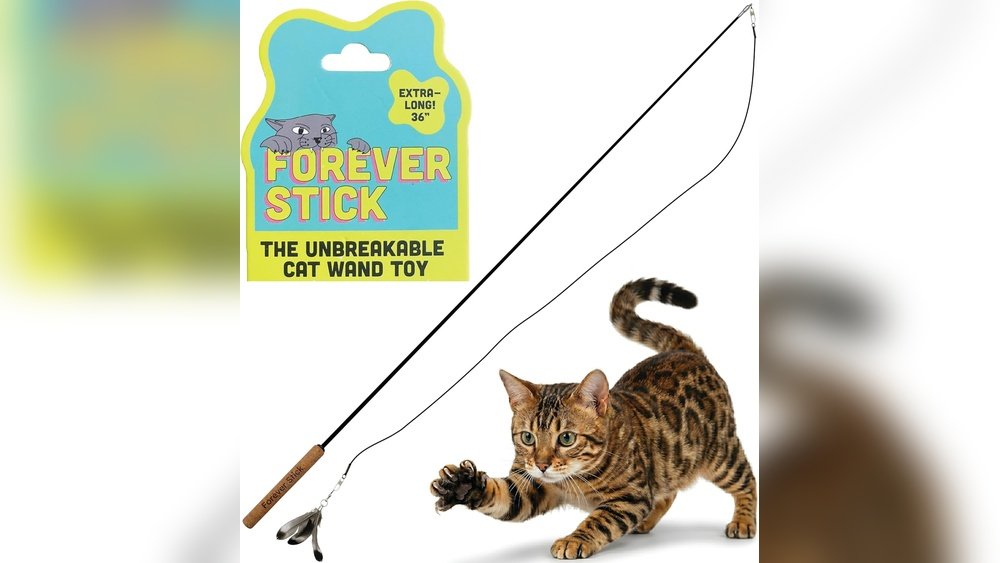 Best Wand Cat Toy for Large Cats: Durable, Interactive, and Fun Choices